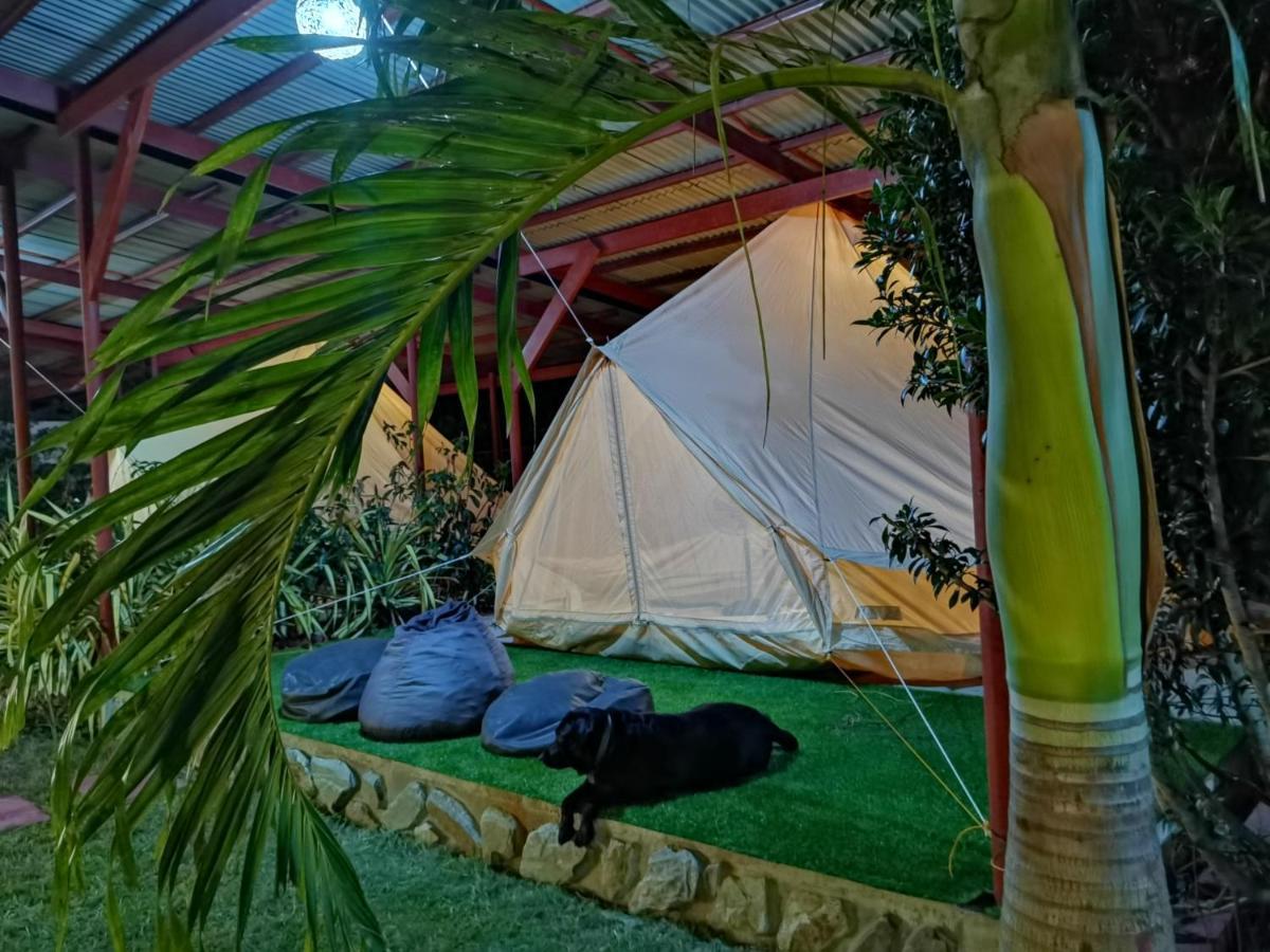 Apartamento Glamping Alona Panglao Exterior foto